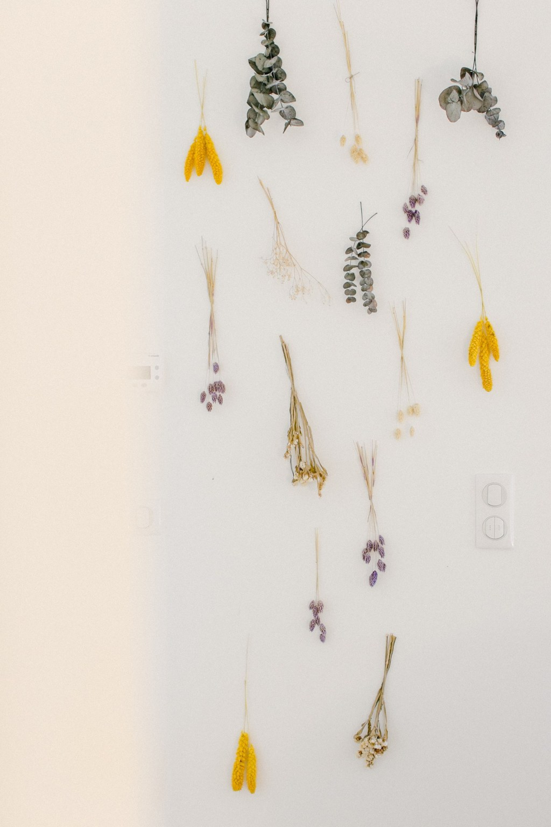 La Borderie du Peuble